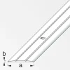 alfer Übergangsprofil 1 m, 37 x 2.5 mm Aluminium eloxiert messing