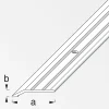 alfer Flachabschlussprofil 2 m, 30 x 5 mm Aluminium eloxiert messing