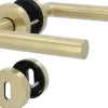 Alpertec Türgriff-Garnitur Rosette Fair I BB Edelstahl gold matt Ø 52 mm