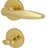 Alpertec WC-Rosettengarnitur Alison Messing gold rund