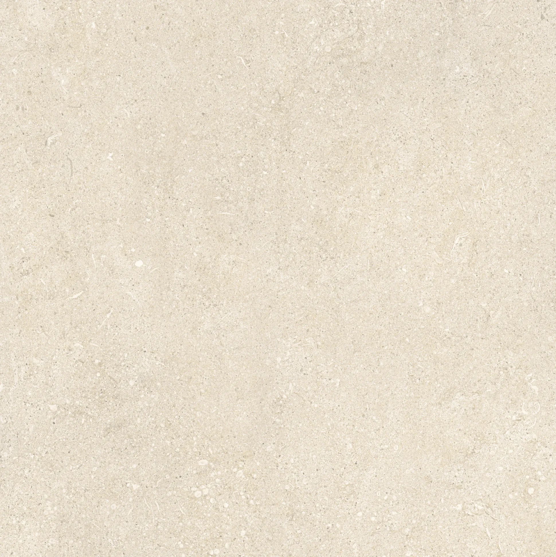 Bodenfliese Feinsteinzeug Sensi 60 x 60 cm beige