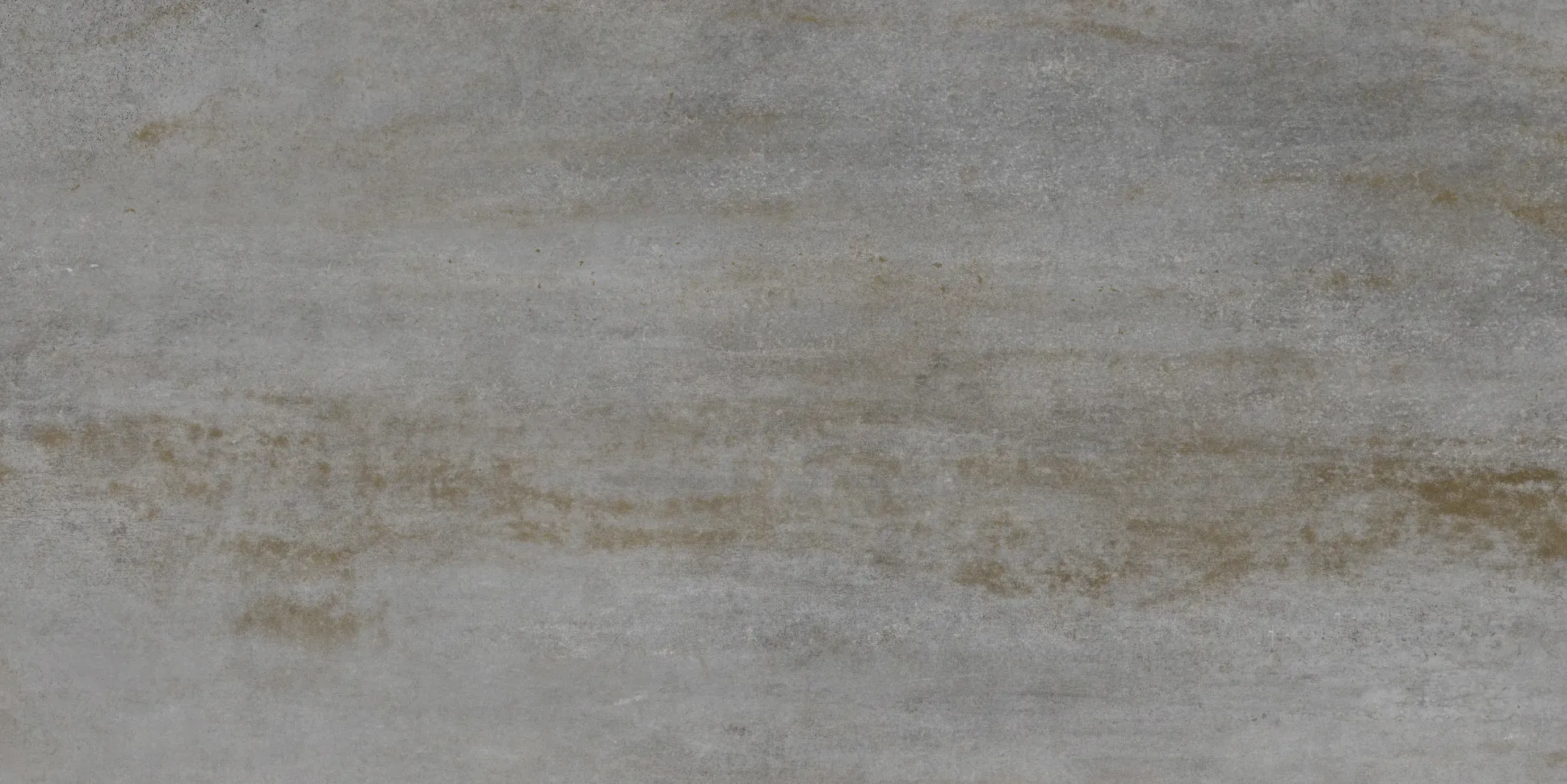 Bodenfliese Feinsteinzeug Allora due 30 x 60,4 cm grau