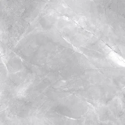 Bodenfliese Feinsteinzeug Messina 60 x 60 cm grau