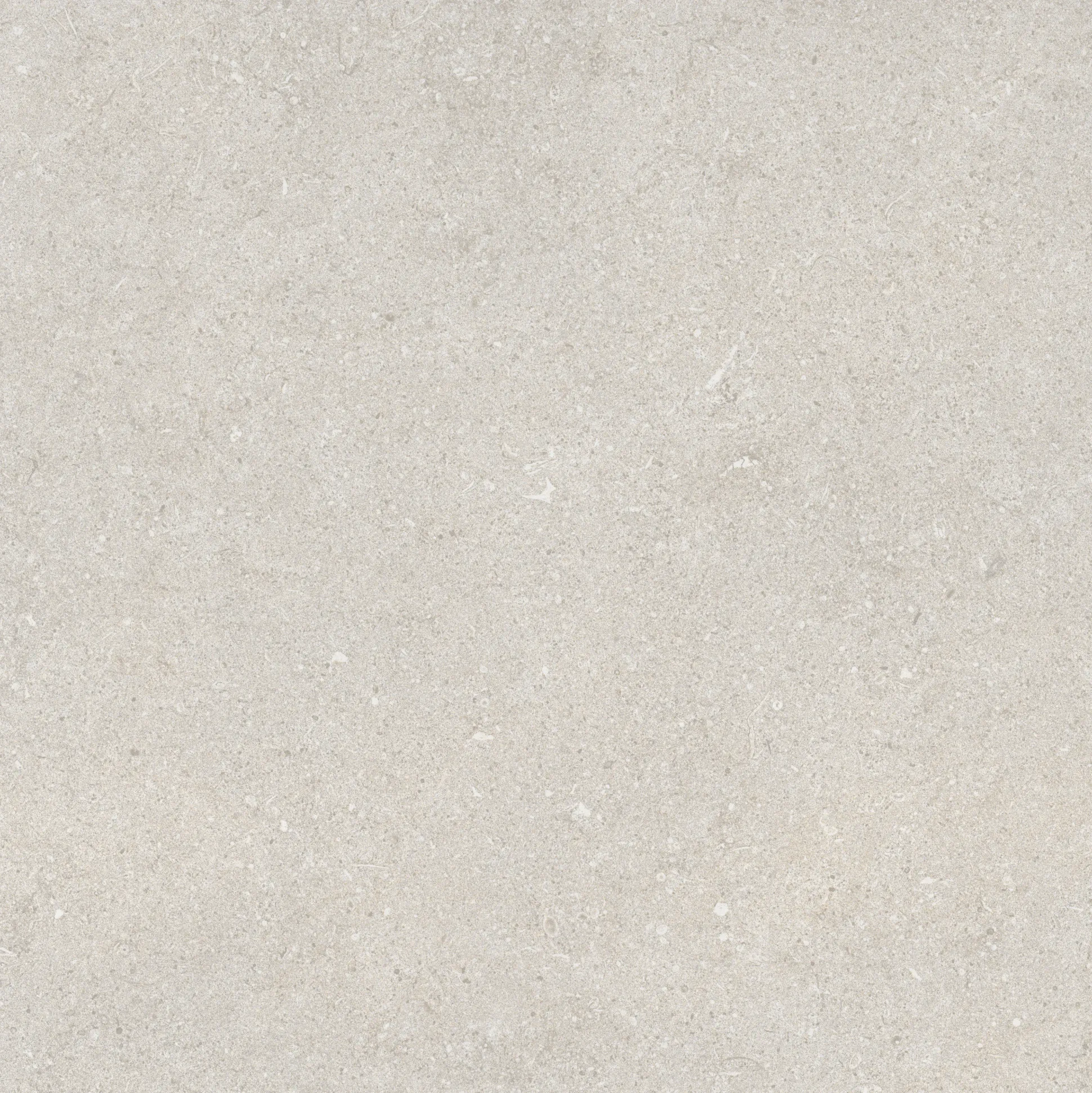 Bodenfliese Feinsteinzeug Sensi 60 x 60 cm grau