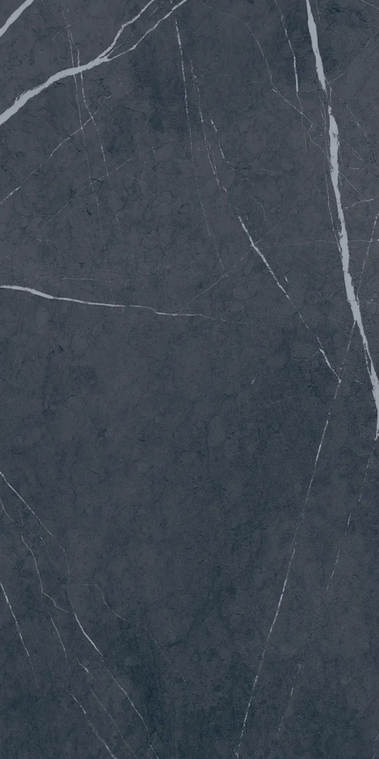 Bodenfliese Feinsteinzeug Premium Marble 30 x 60 cm anthrazit