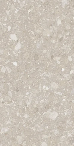 Bodenfliese Feinsteinzeug Terra 60 x 120 cm beige