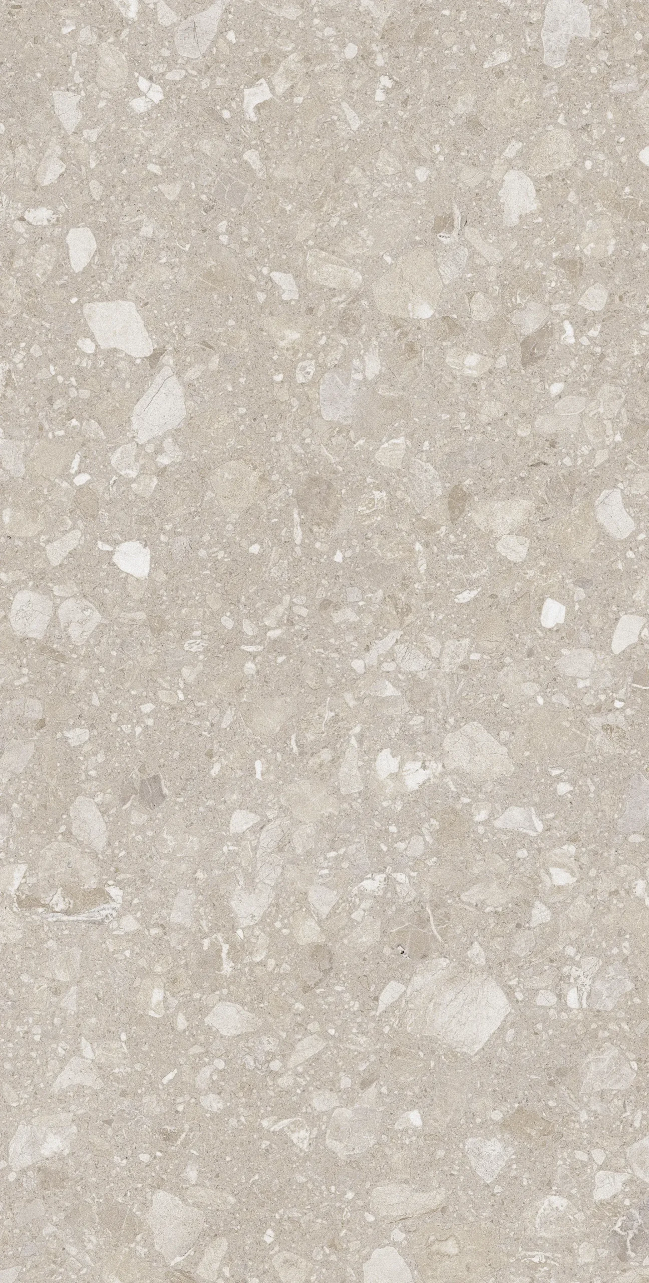 Bodenfliese Feinsteinzeug Terra 60 x 120 cm beige