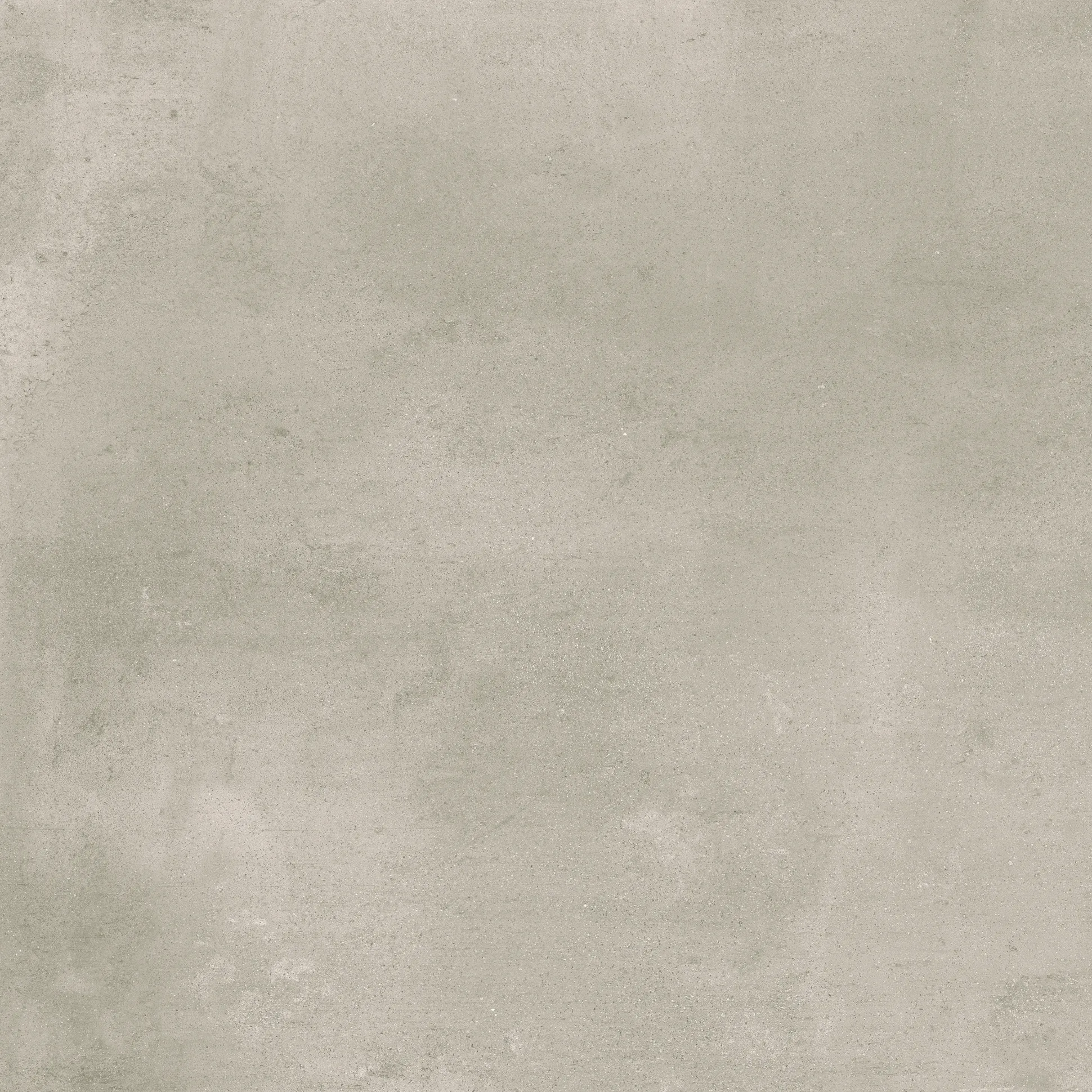 Bodenfliese Feinsteinzeug Bristol 60 x 60 cm taupe