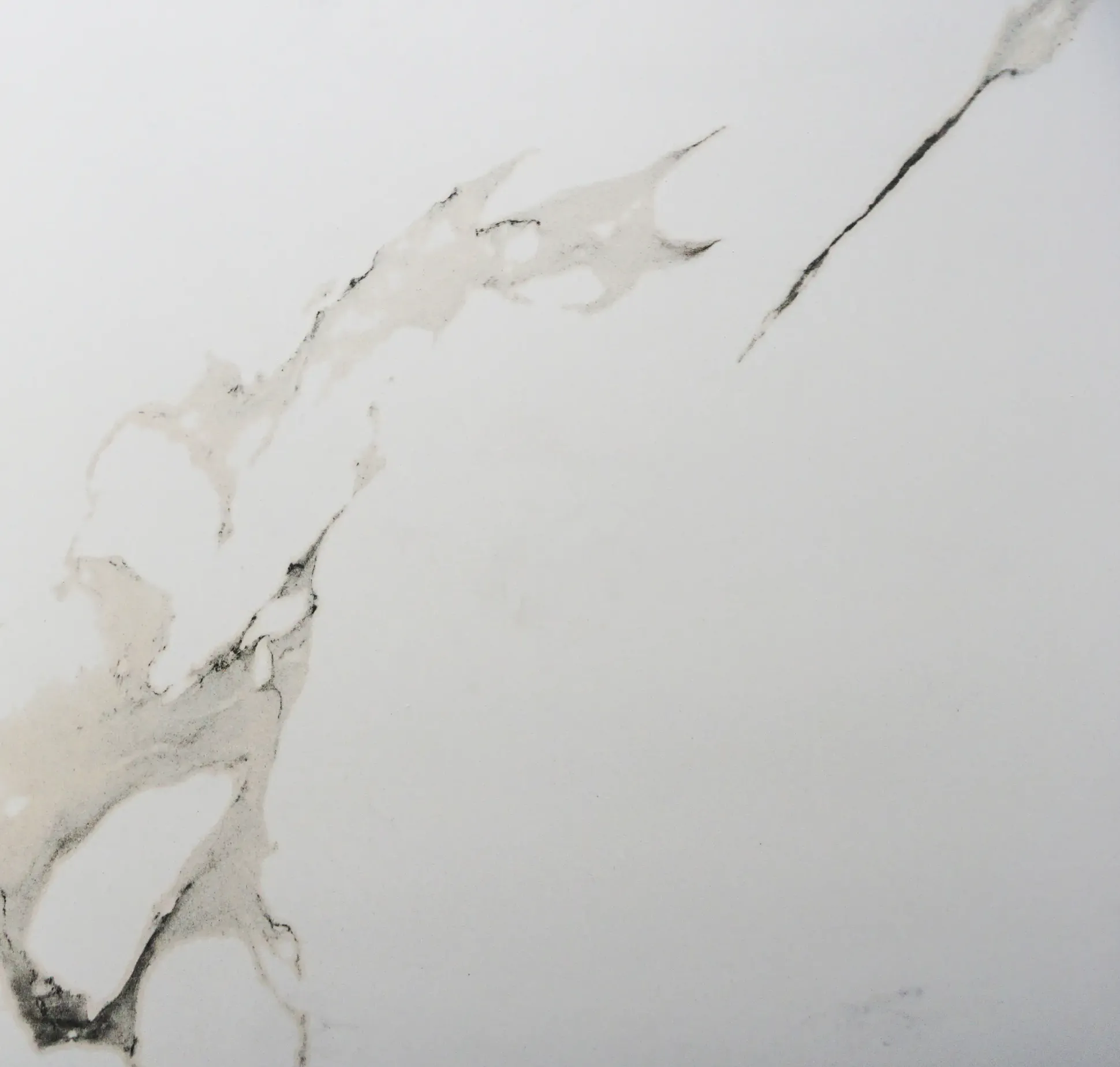 Bodenfliese Feinsteinzeug Lumitec Carrara 60 x 60 cm weiß