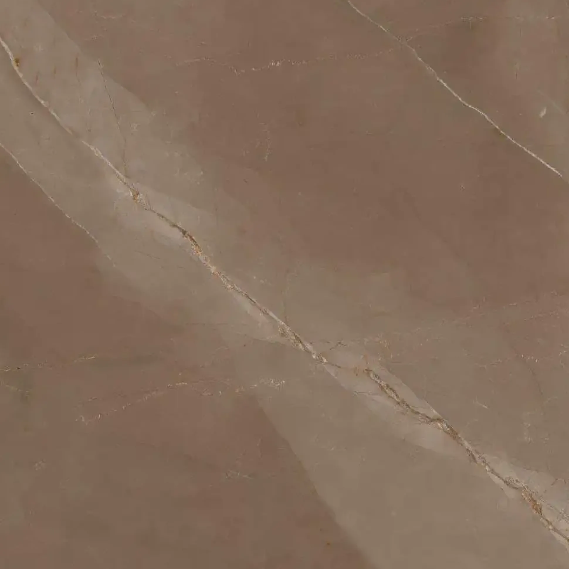 Bodenfliese Feinsteinzeug Desert 60 x 60 cm braun