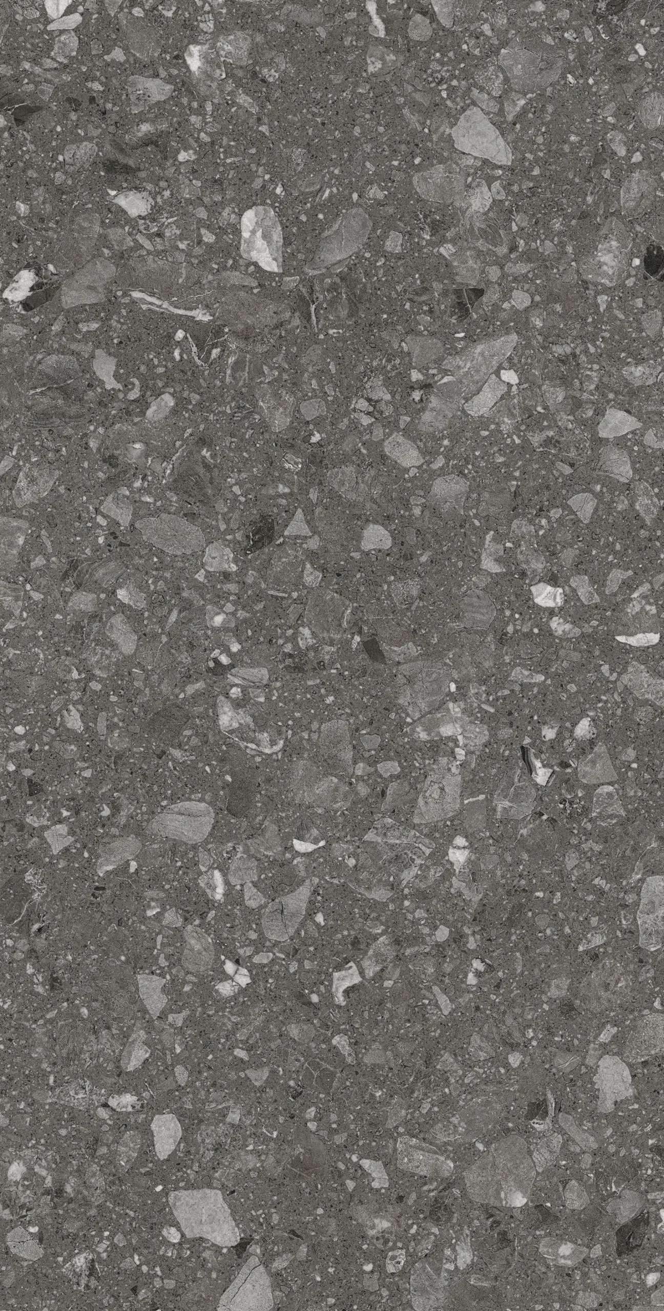 Bodenfliese Feinsteinzeug Terra 60 x 120 cm anthrazit