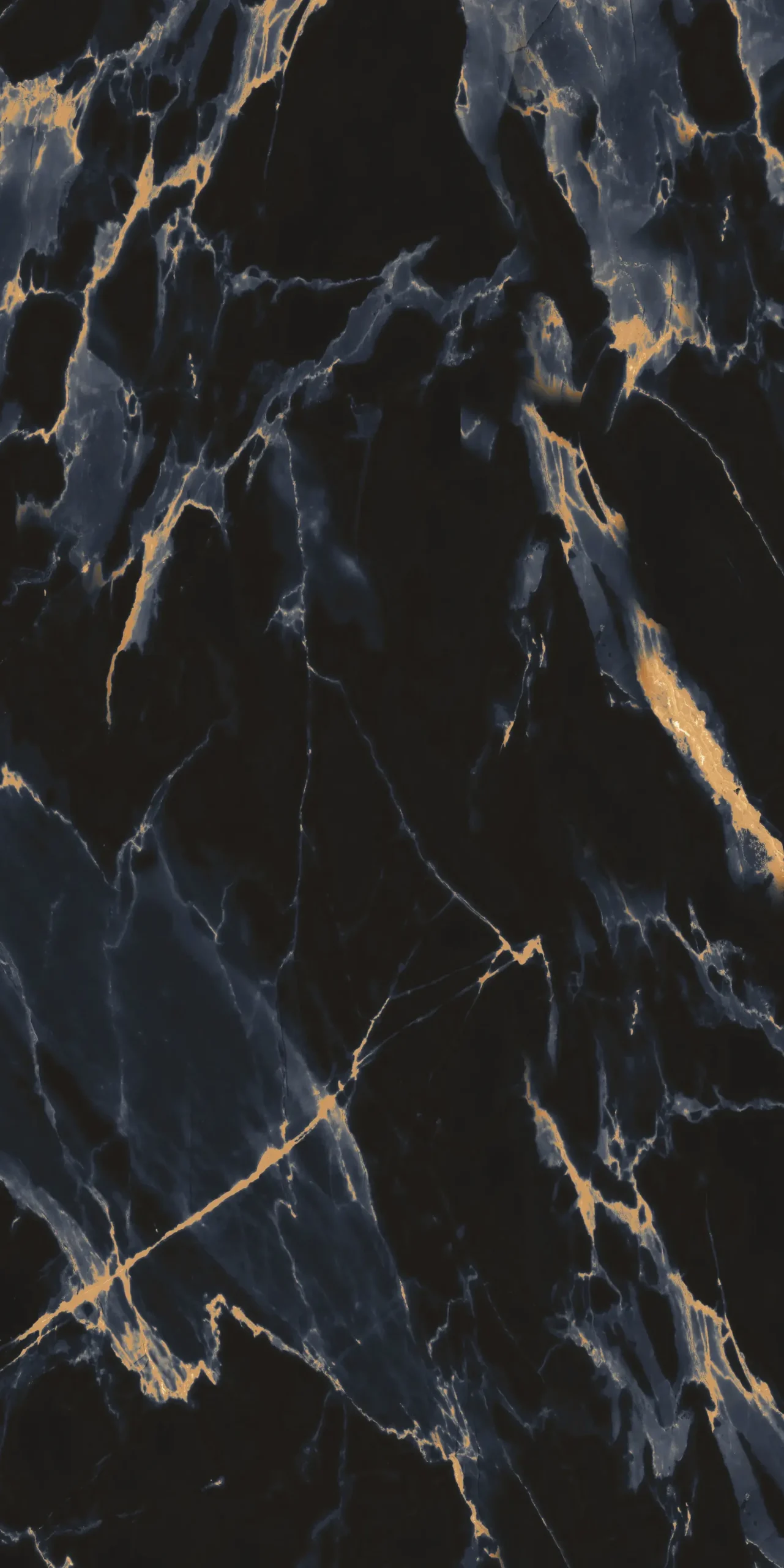 Bodenfliese Feinsteinzeug Marquina Gold 120 x 240 cm schwarz