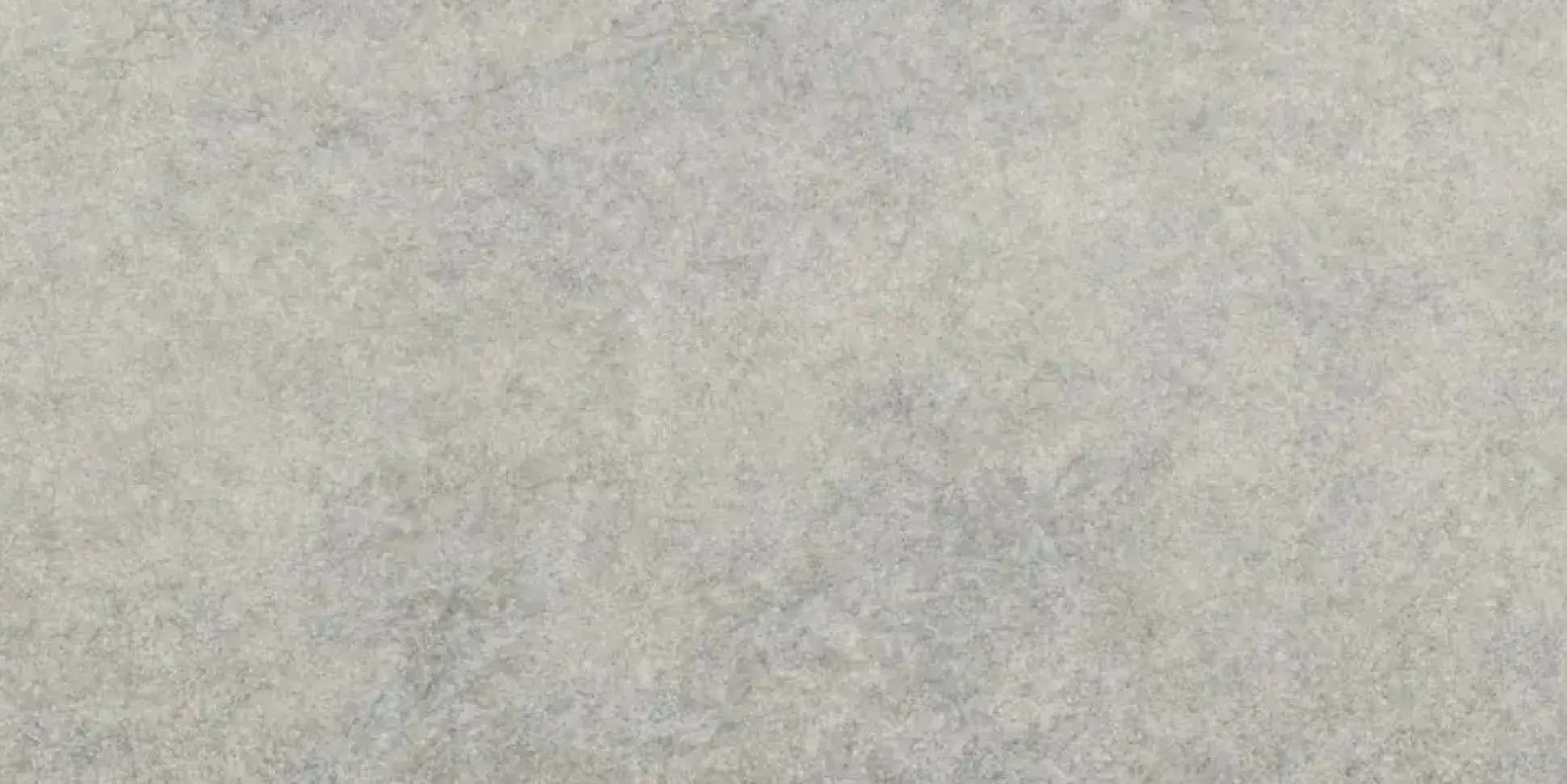 Bodenfliese Feinsteinzeug Absolute 31 x 62 cm grau
