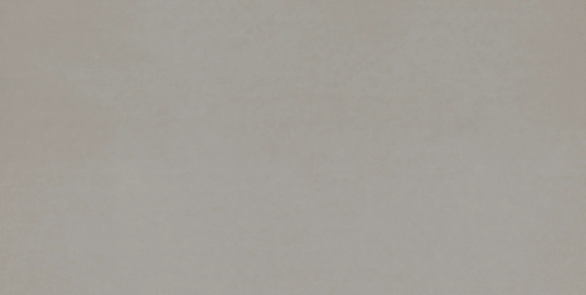 Bodenfliese Feinsteinzeug Promo 31 x 62 cm grau
