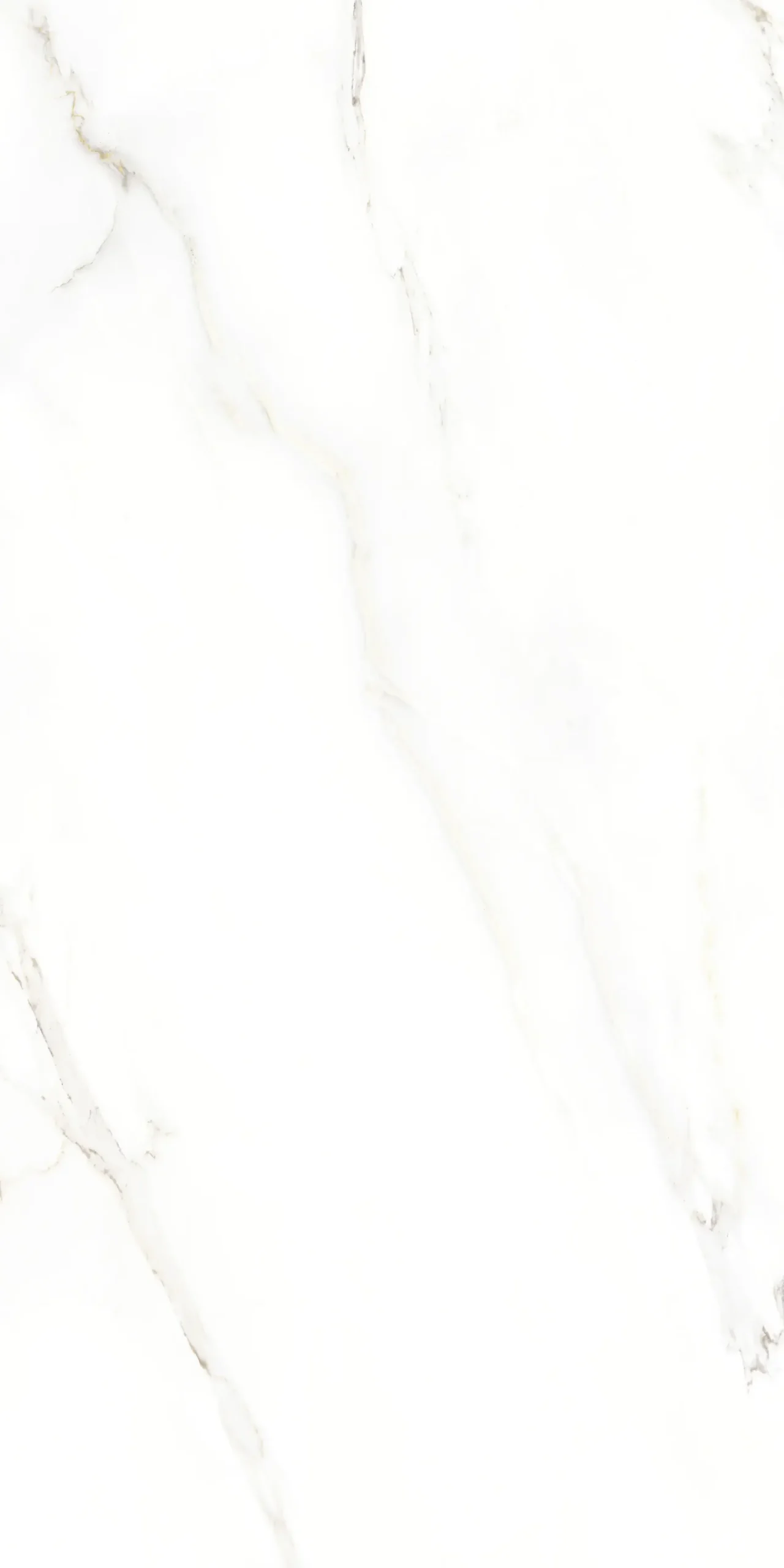 Bodenfliese Feinsteinzeug Calacatta 60 x 120 cm weiß