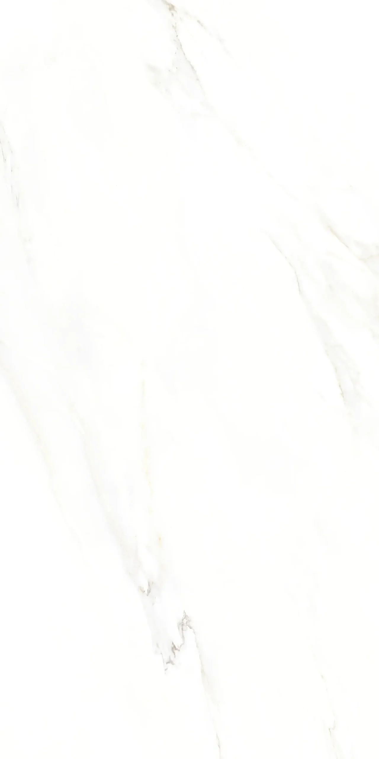 Bodenfliese Feinsteinzeug Calacatta 60 x 120 cm weiß