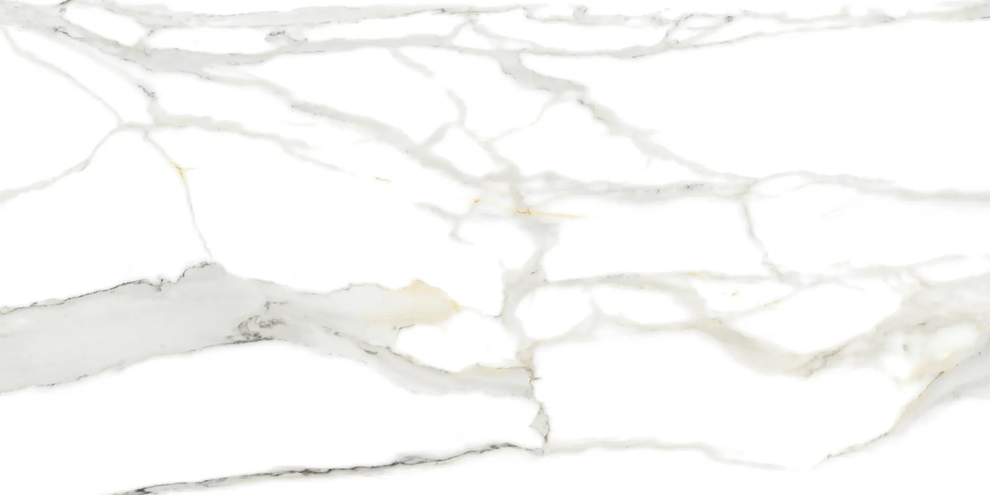 Bodenfliese Feinsteinzeug Calacatta 60 x 120 cm grau/weiß/gold