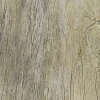 Bodenfliese Feinsteinzeug Radice 31 x 62 cm beige