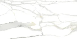 Bodenfliese Feinsteinzeug Continua Calacatta 60 x 120 cm gold