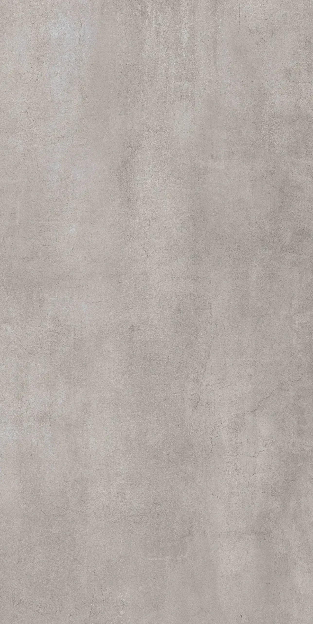 Bodenfliese Feinsteinzeug Timeless 60 x 120 cm grau