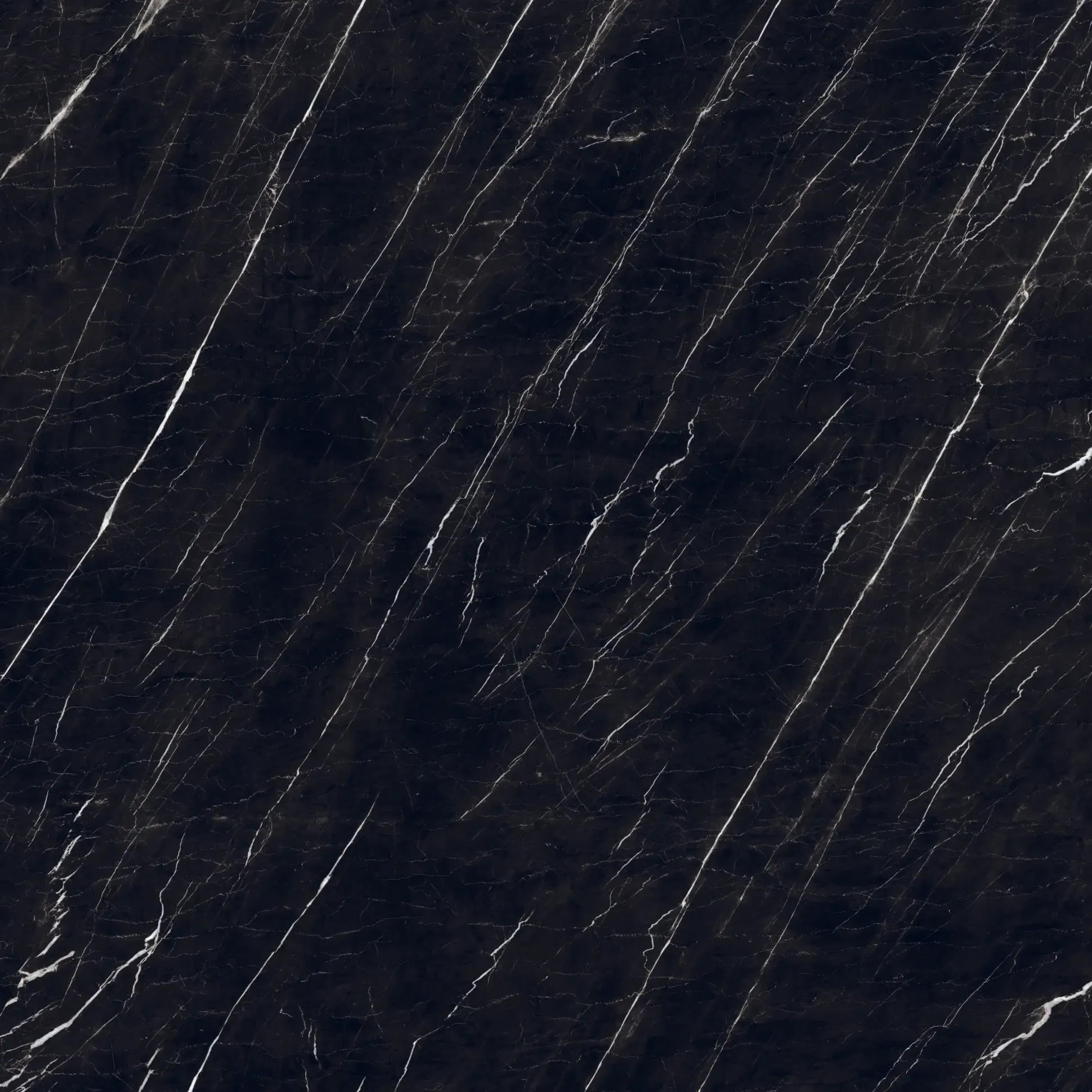 Bodenfliese Feinsteinzeug Nero 120 x 120 cm marquina