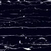Bodenfliese Feinsteinzeug Prothro Black 60 x 120 cm schwarz