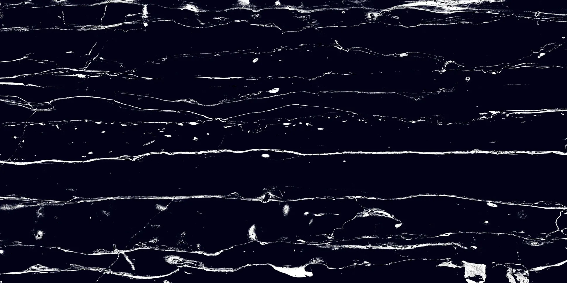 Bodenfliese Feinsteinzeug Prothro Black 60 x 120 cm schwarz