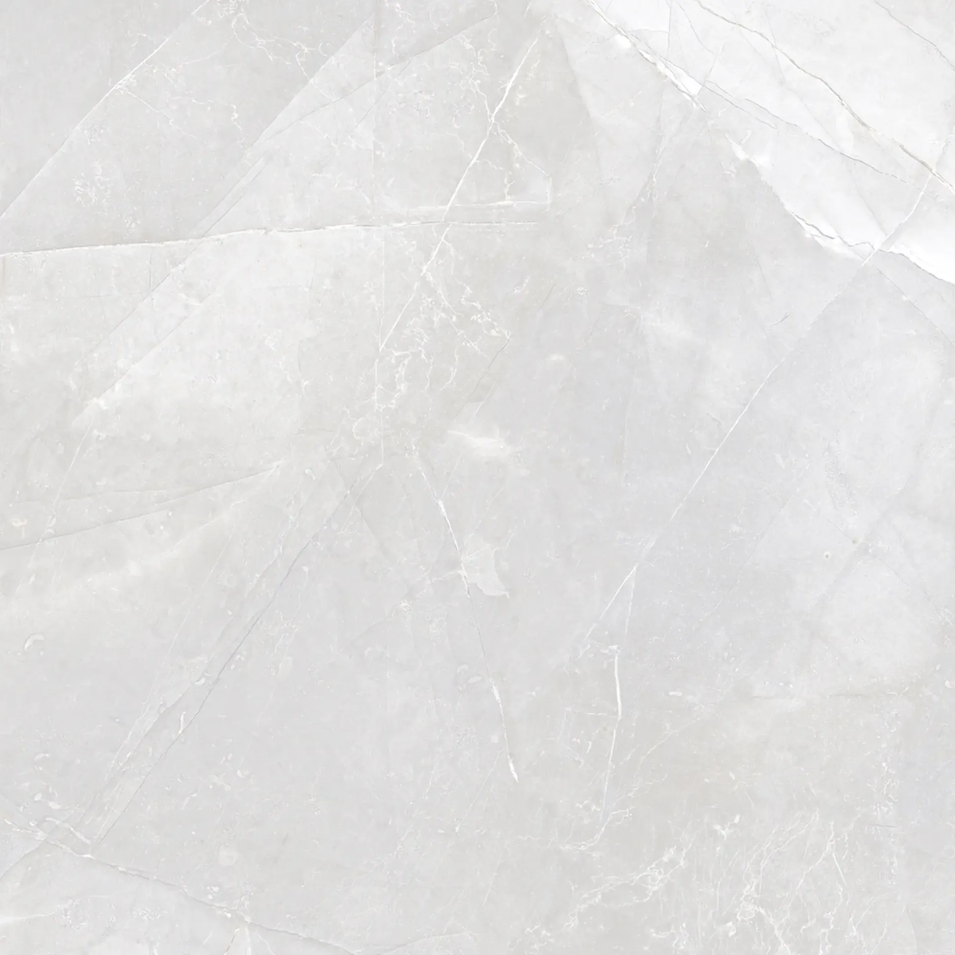 Bodenfliese Feinsteinzeug Armani 60 x 60 cm light grey