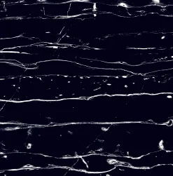 Bodenfliese Feinsteinzeug Prothro Black 60 x 60 cm schwarz