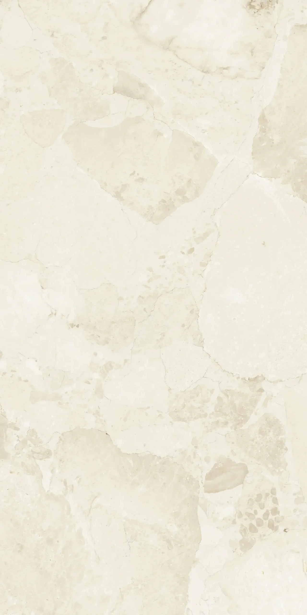 Bodenfliese Feinsteinzeug Coppo di Como 60 x 120 cm beige