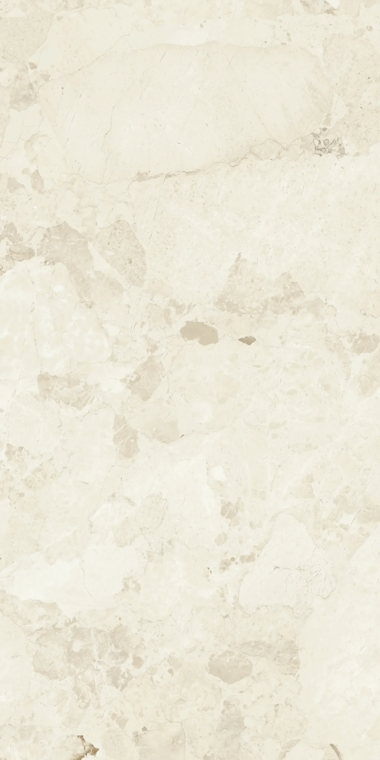 Bodenfliese Feinsteinzeug Coppo di Como 60 x 120 cm beige