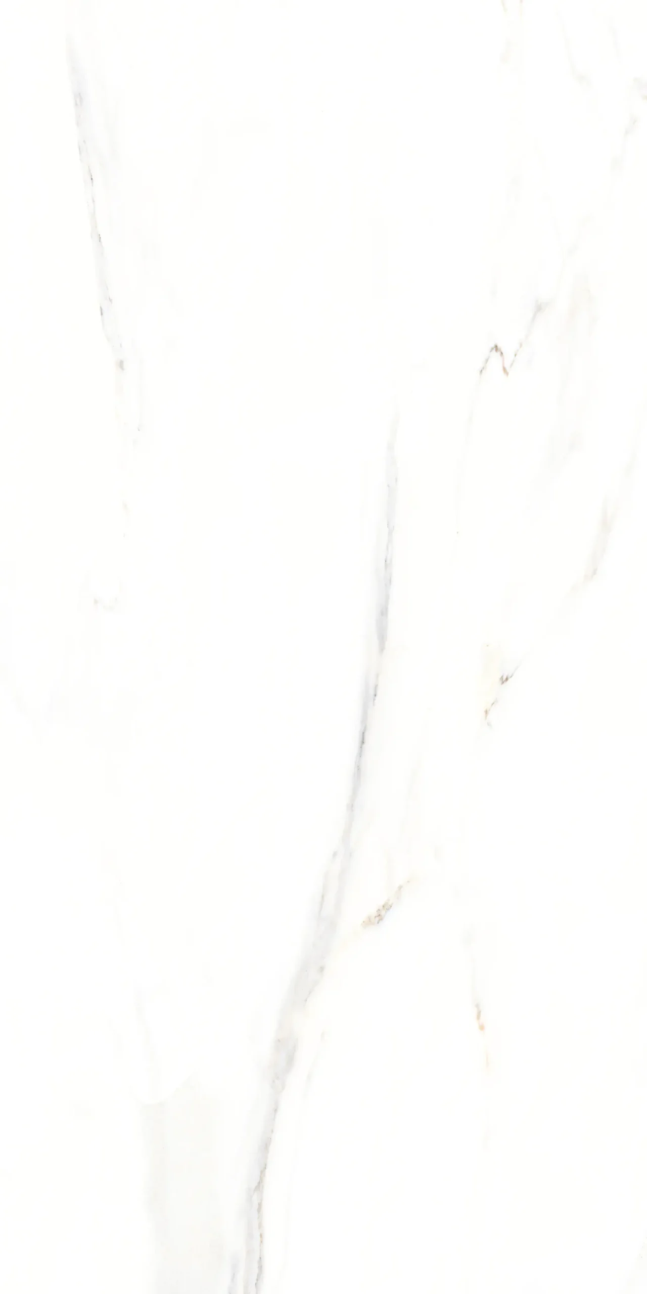 Bodenfliese Feinsteinzeug Calacatta 30 x 60 cm weiß