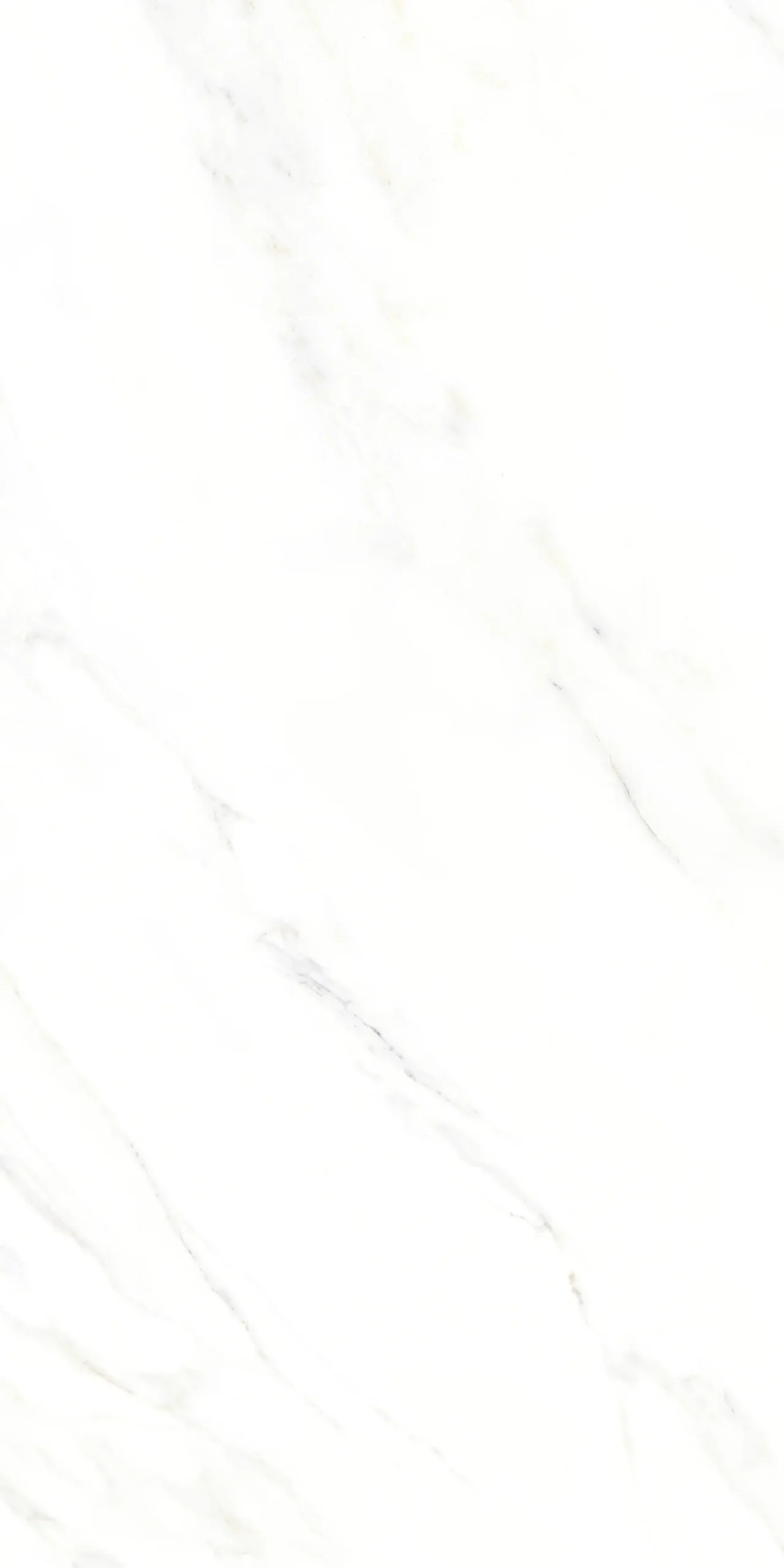 Bodenfliese Feinsteinzeug Calacatta 30 x 60 cm weiß