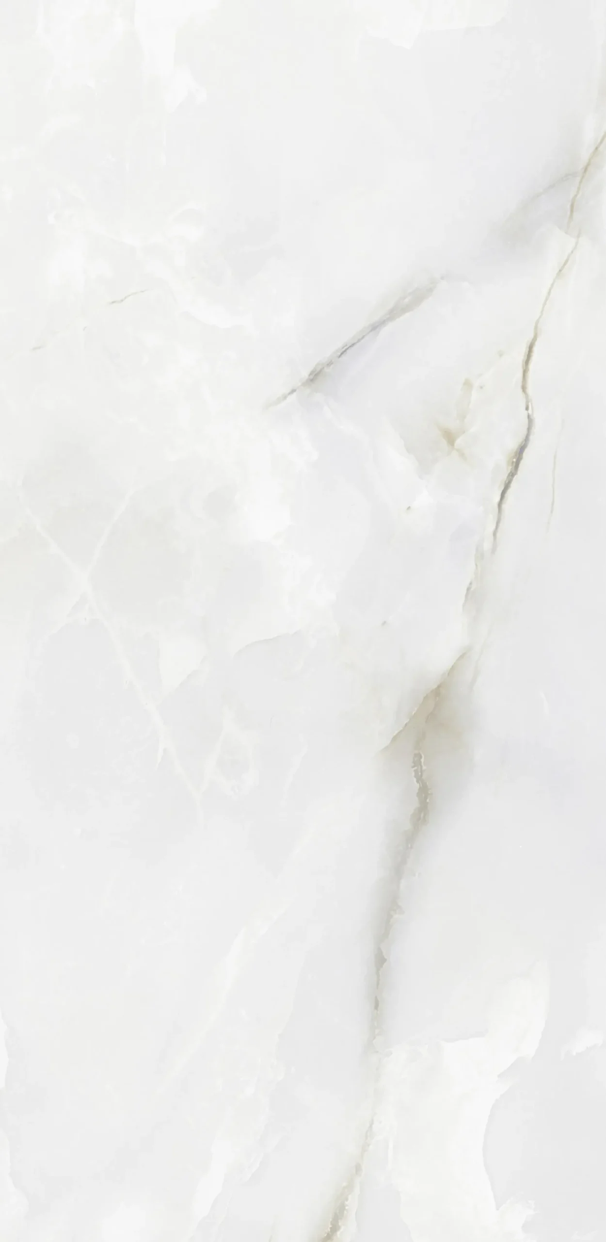 Bodenfliese Feinsteinzeug Bianco Christal 60 x 120 cm weiß