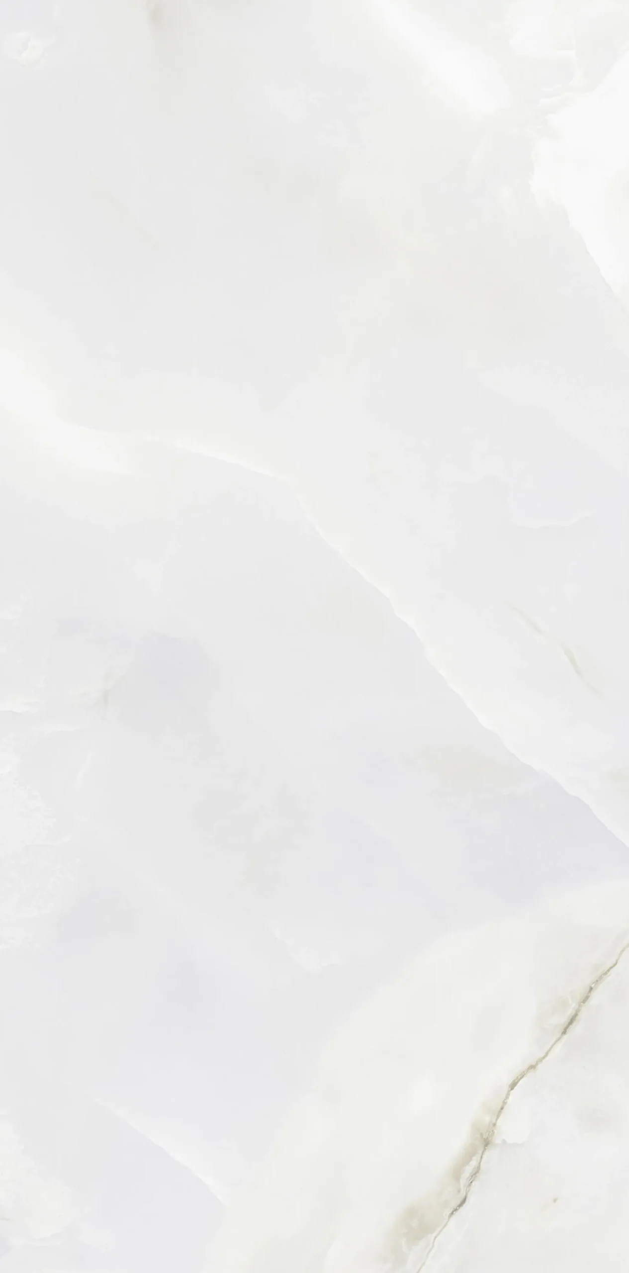 Bodenfliese Feinsteinzeug Bianco Christal 60 x 120 cm weiß