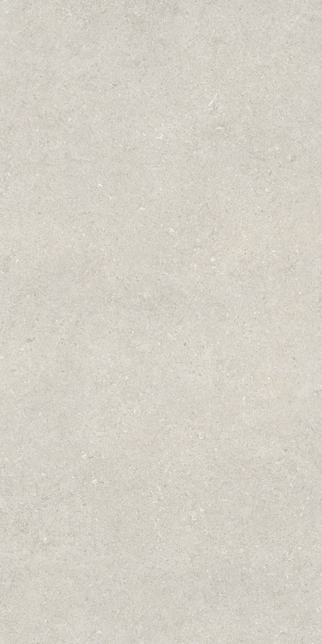Bodenfliese Feinsteinzeug Sensi 60 x 120 cm grau