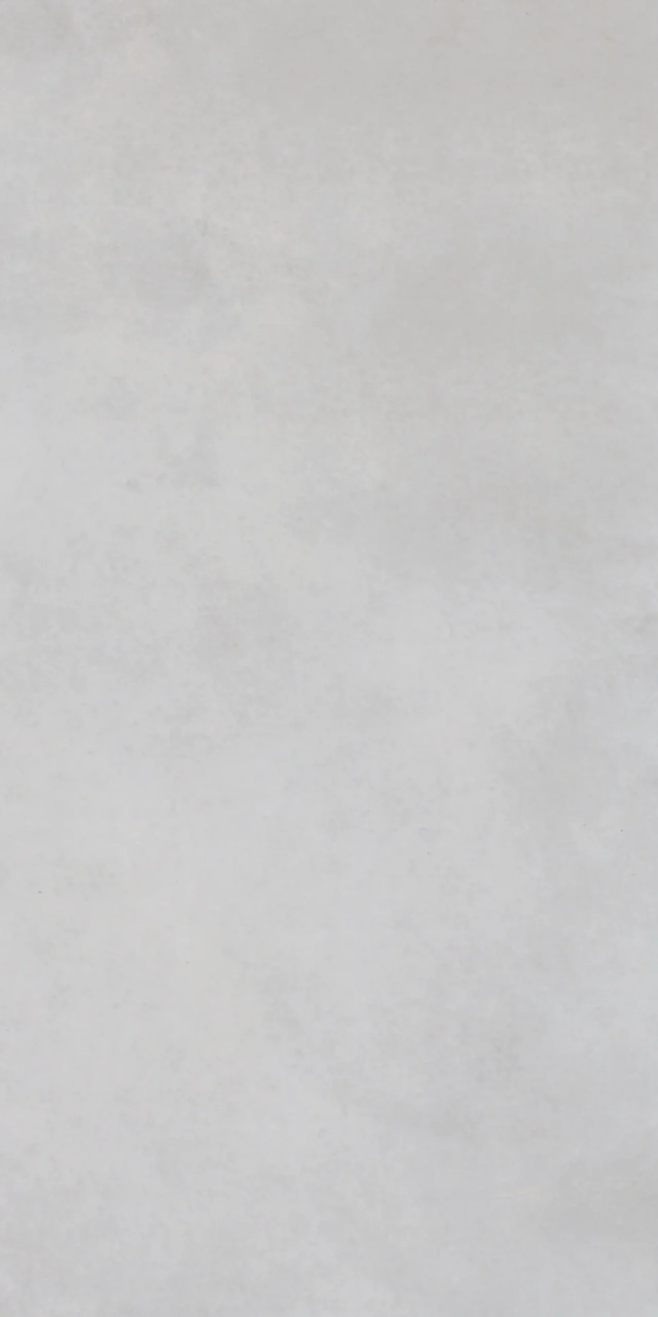 Bodenfliese Feinsteinzeug Batista Dust 60 x 30 cm creme
