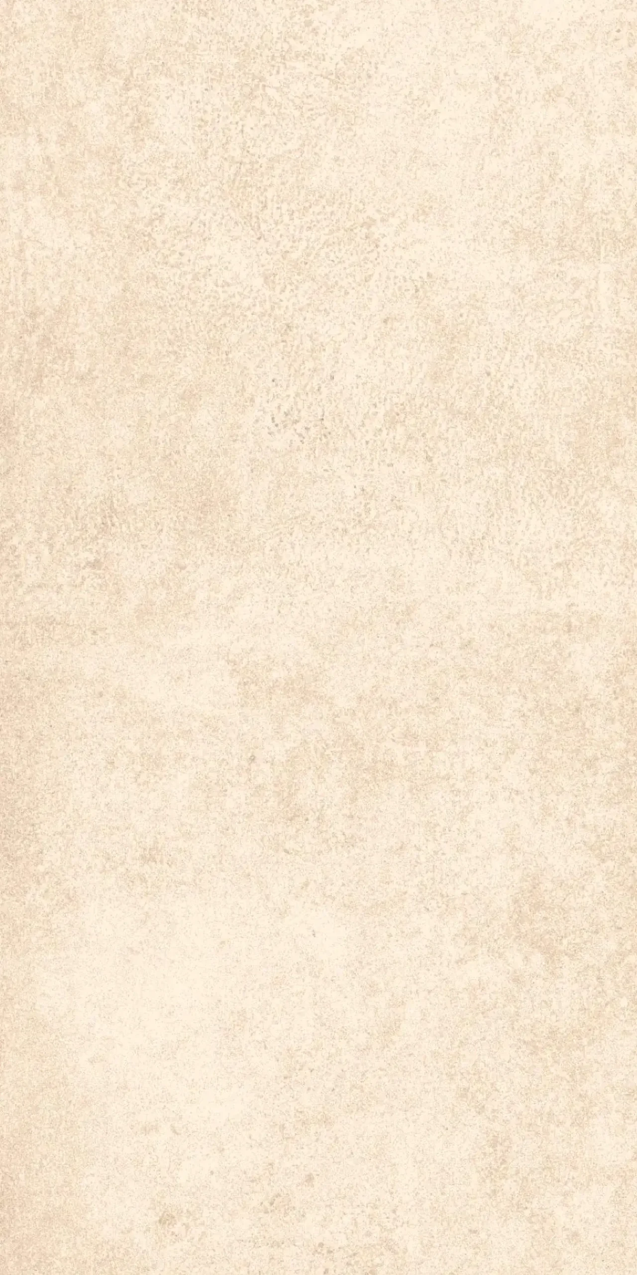 Bodenfliese Feinsteinzeug Atlas 30 x 60 cm weiß-beige