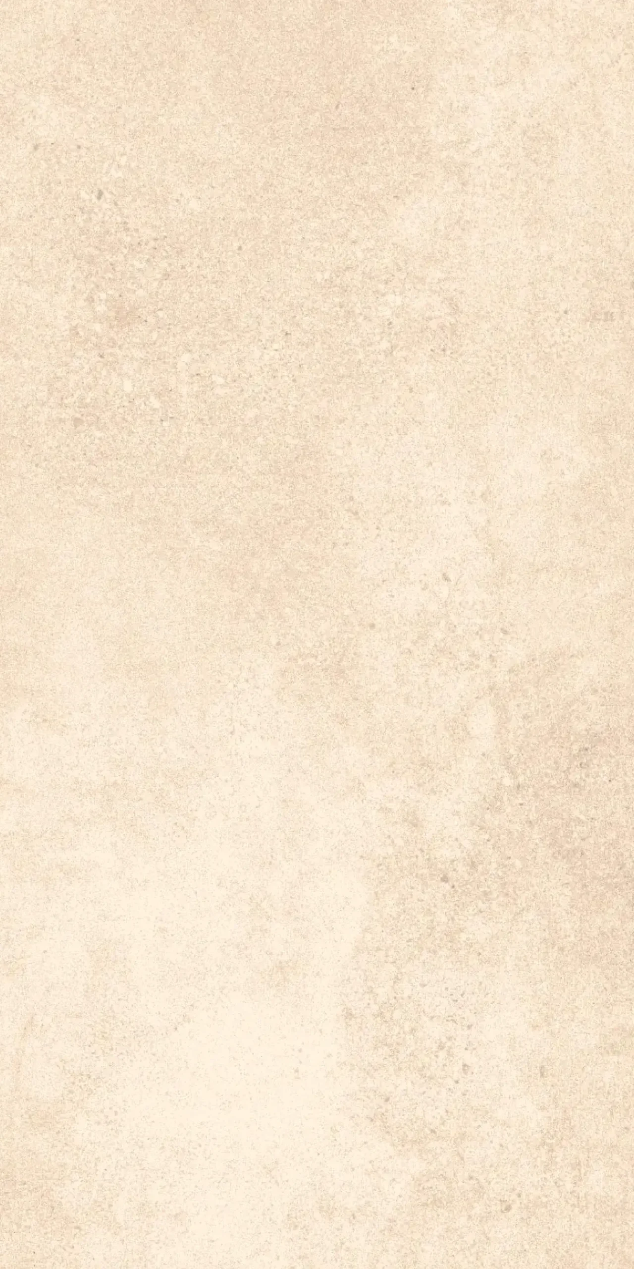 Bodenfliese Feinsteinzeug Atlas 30 x 60 cm weiß-beige