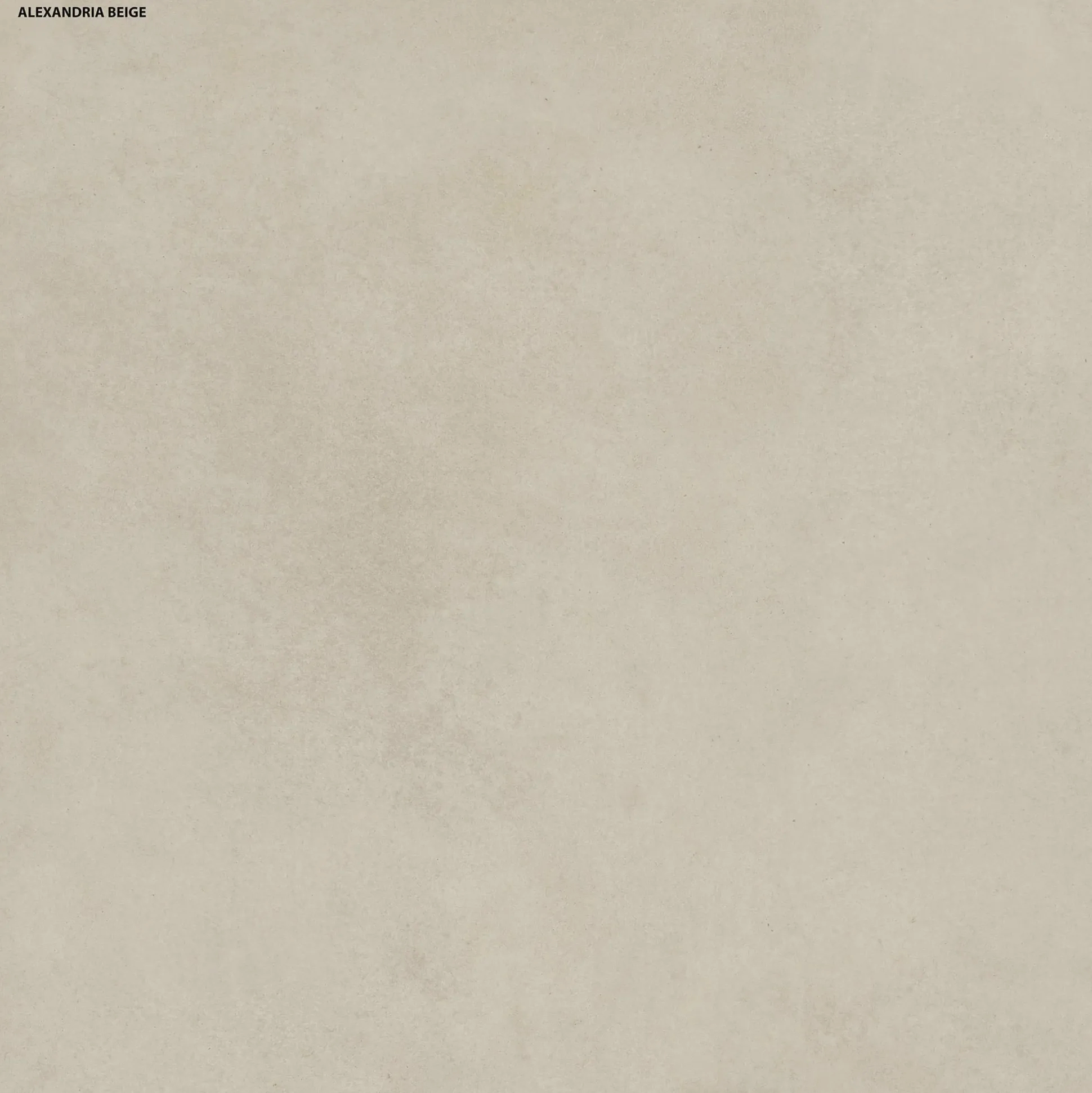 Bodenfliese Feinsteinzeug Alexandria 2.0 60 x 60 cm beige