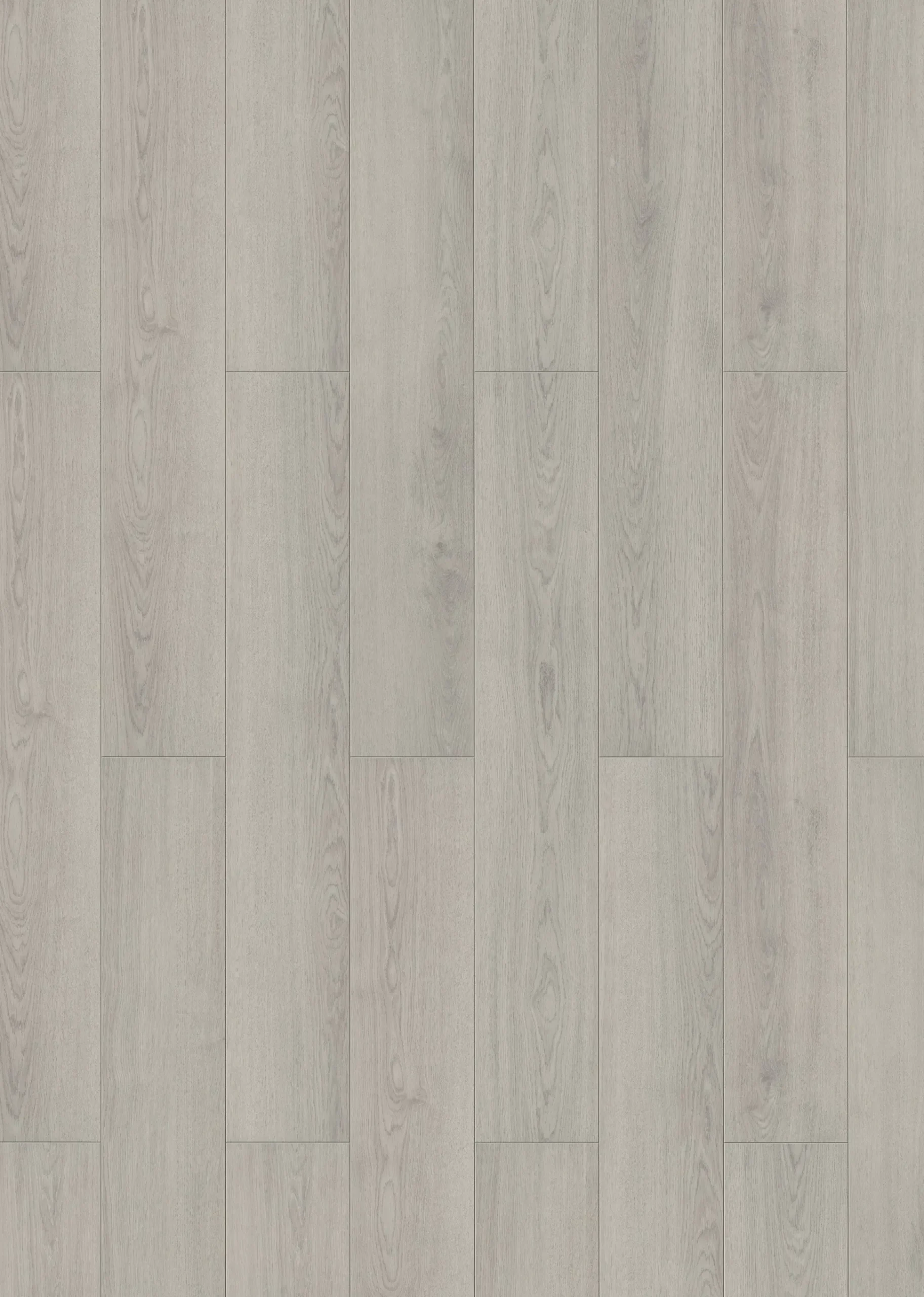 Classen Laminat 128,6 x 19,4 cm 7 mm Eiche hell grau