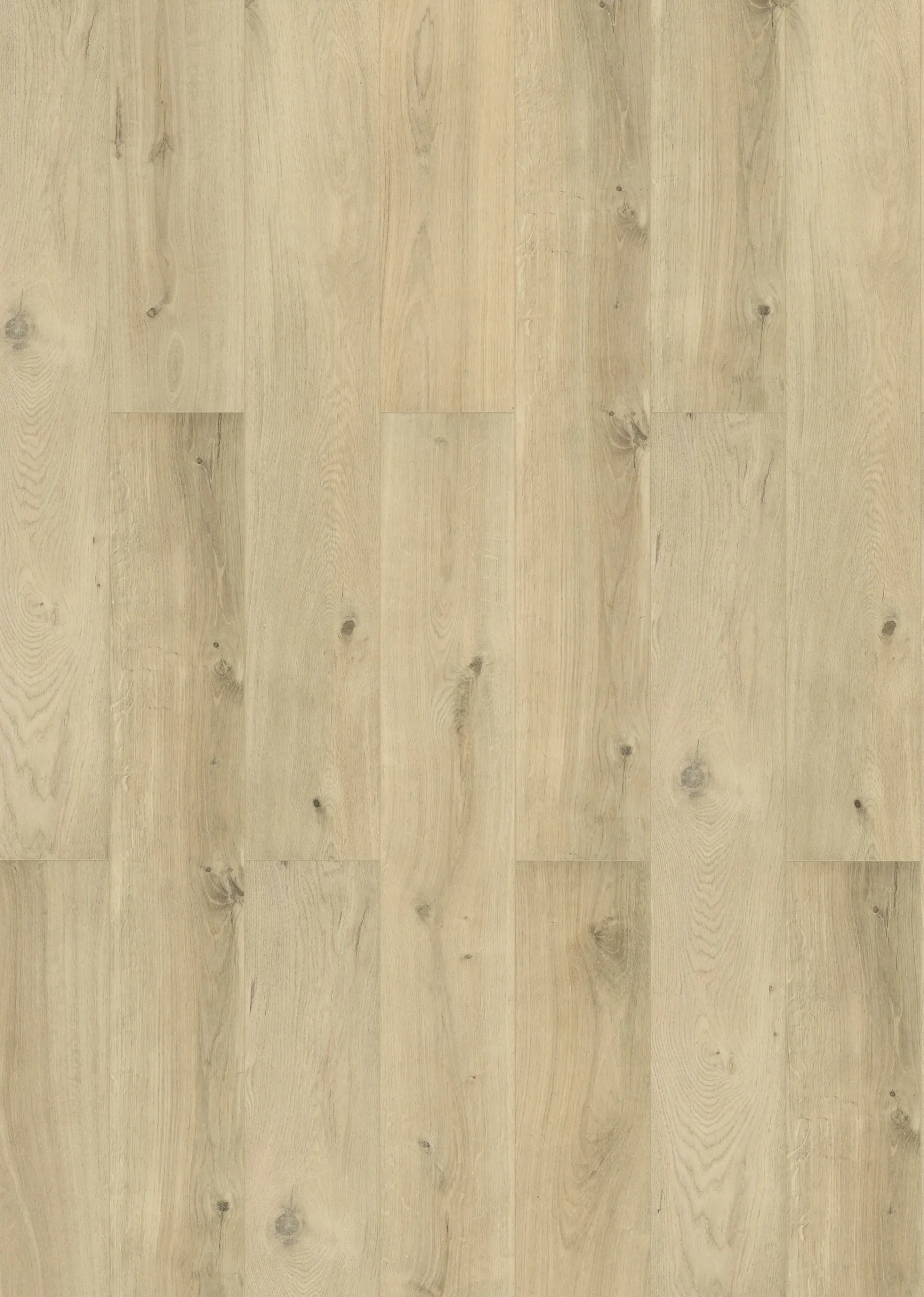 Classen Laminat 128,6 x 19,4 cm 7 mm Schatteneiche