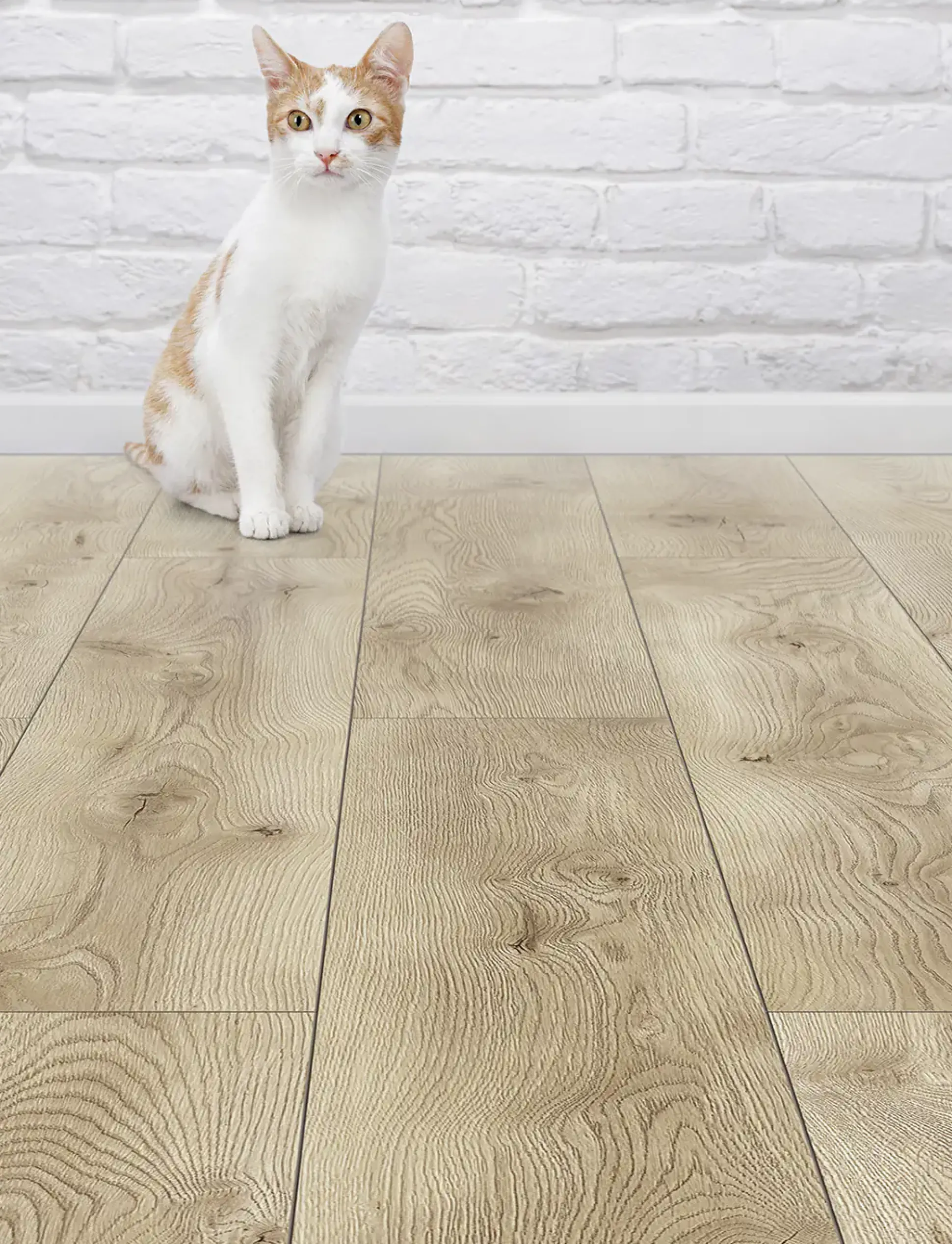 Classen Laminat Arteo 10 Aquaprotect XL Fiordland Oak