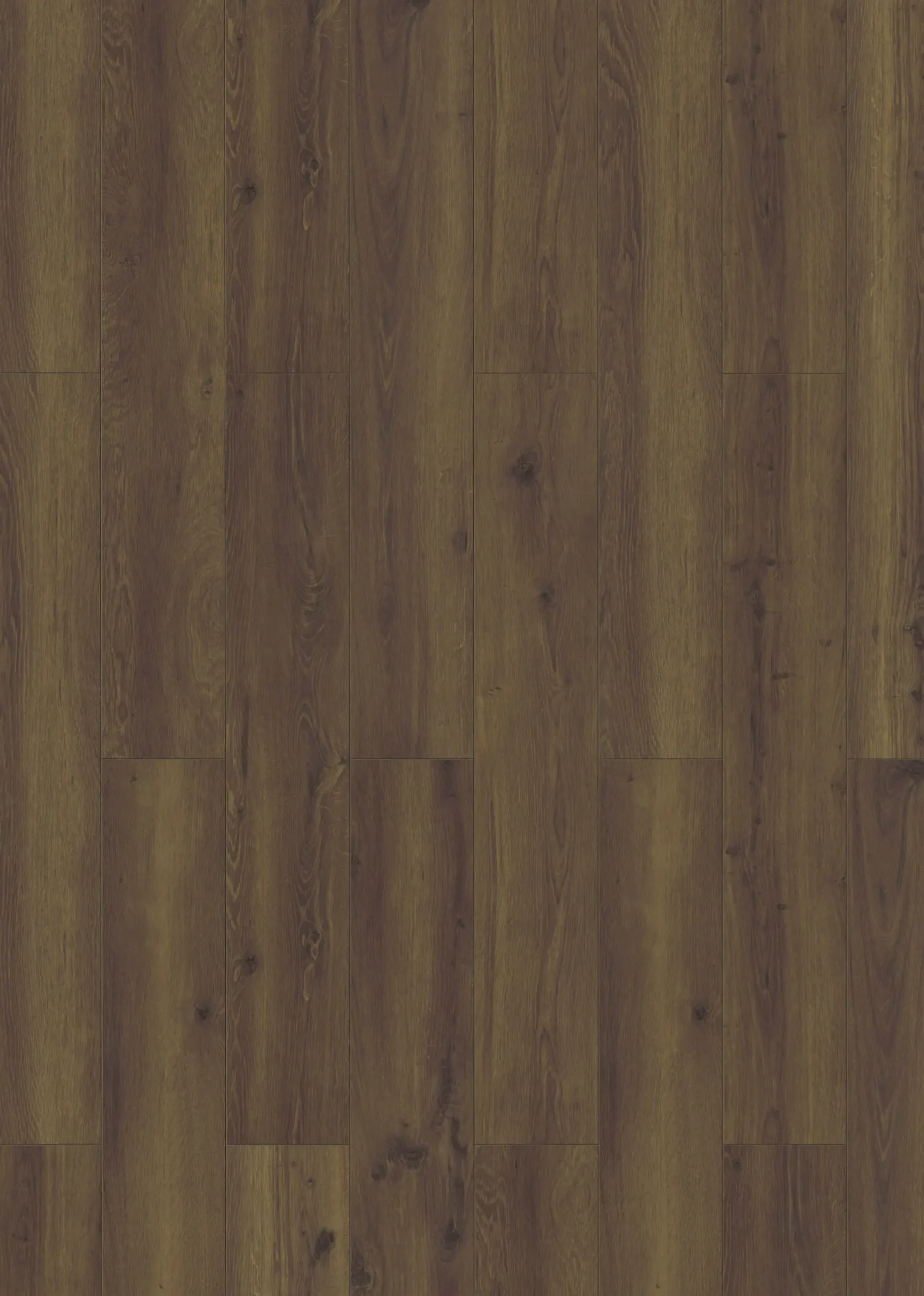 Classen Laminat Edition 7 Eiche dunkel braun