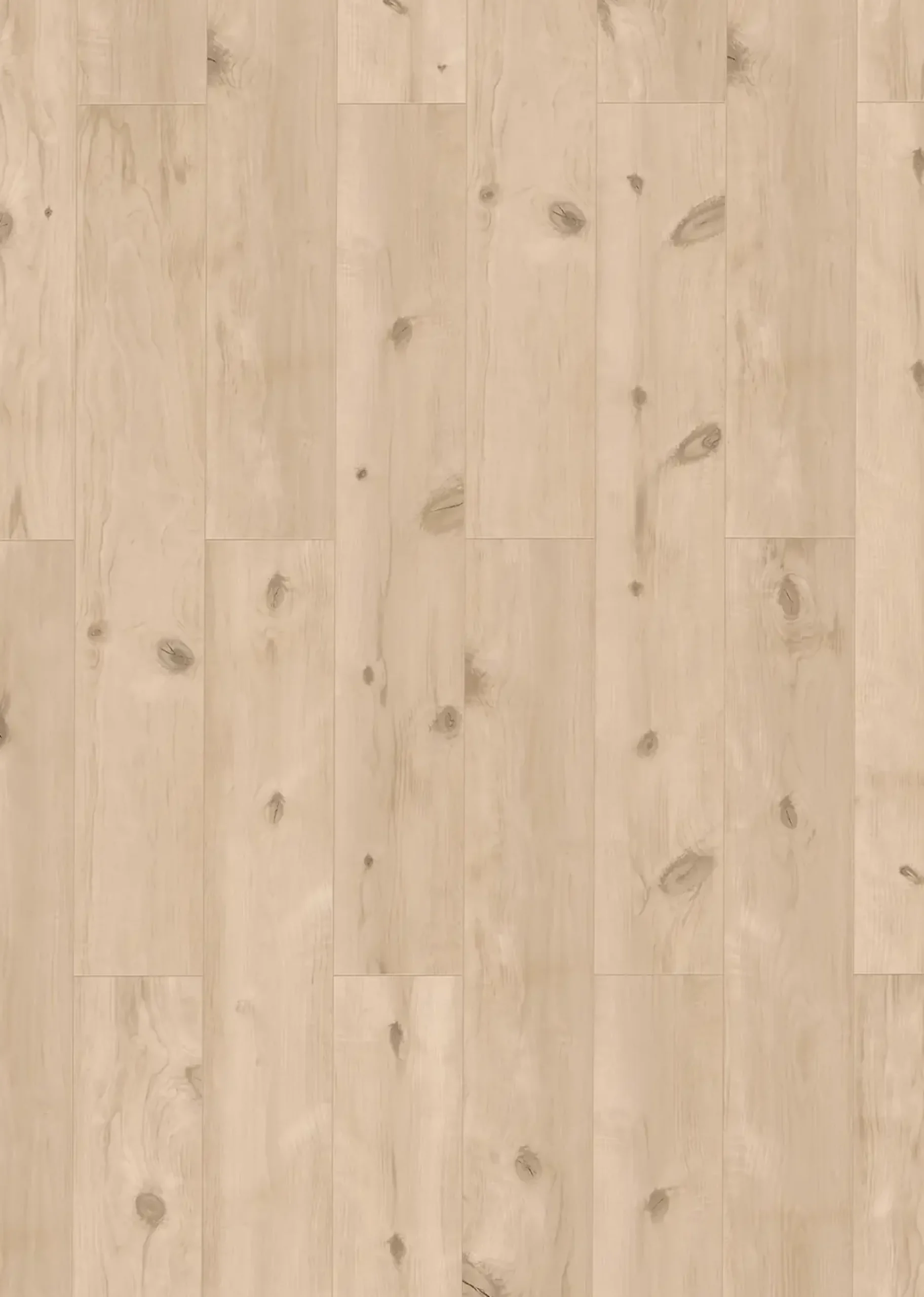 Classen Laminat edition 7+2 V WR Ashby