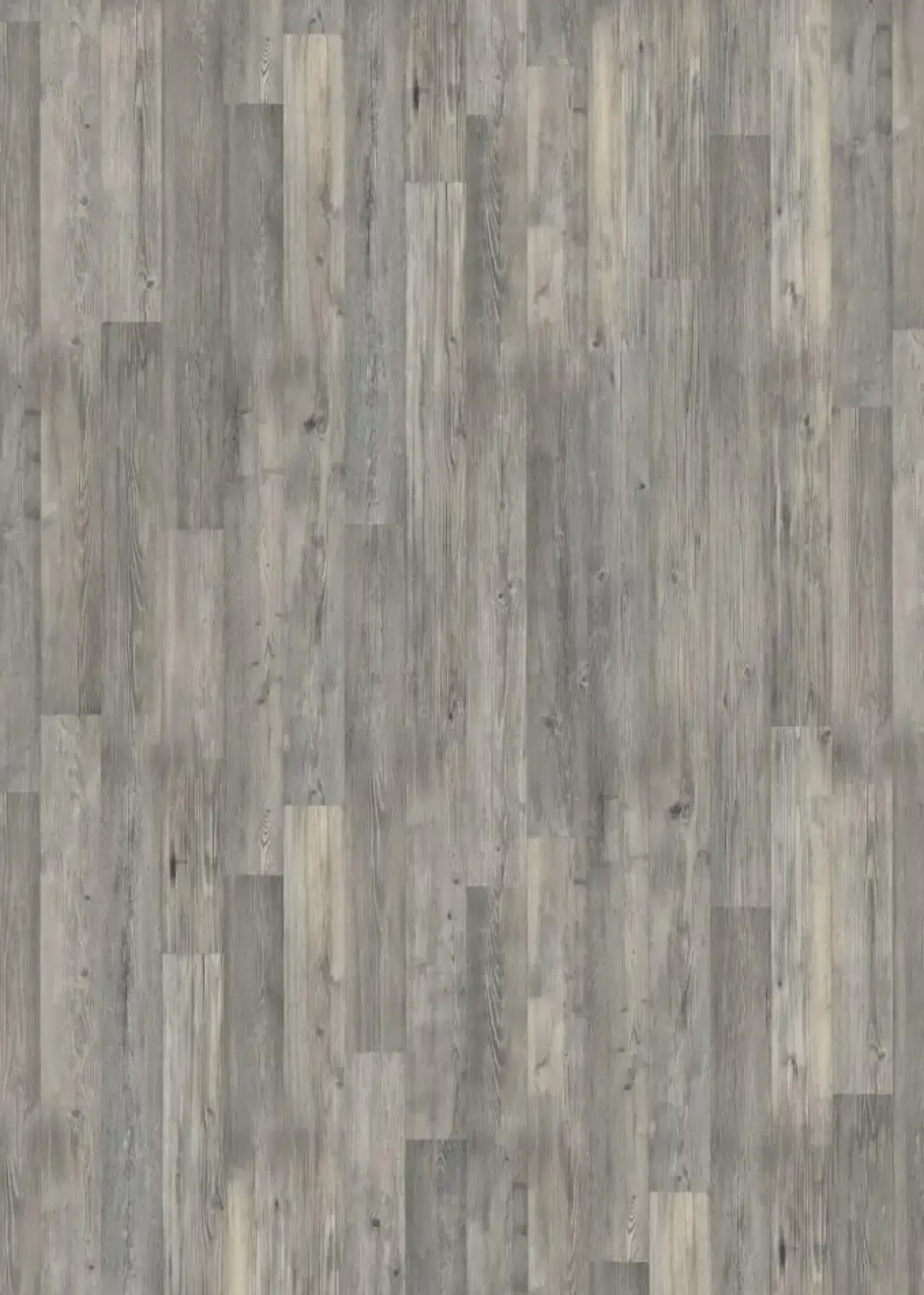 Classen Laminat Edition 7 128,6 x 19,4 cm 7 mm Seekiefer grau 2-Stab