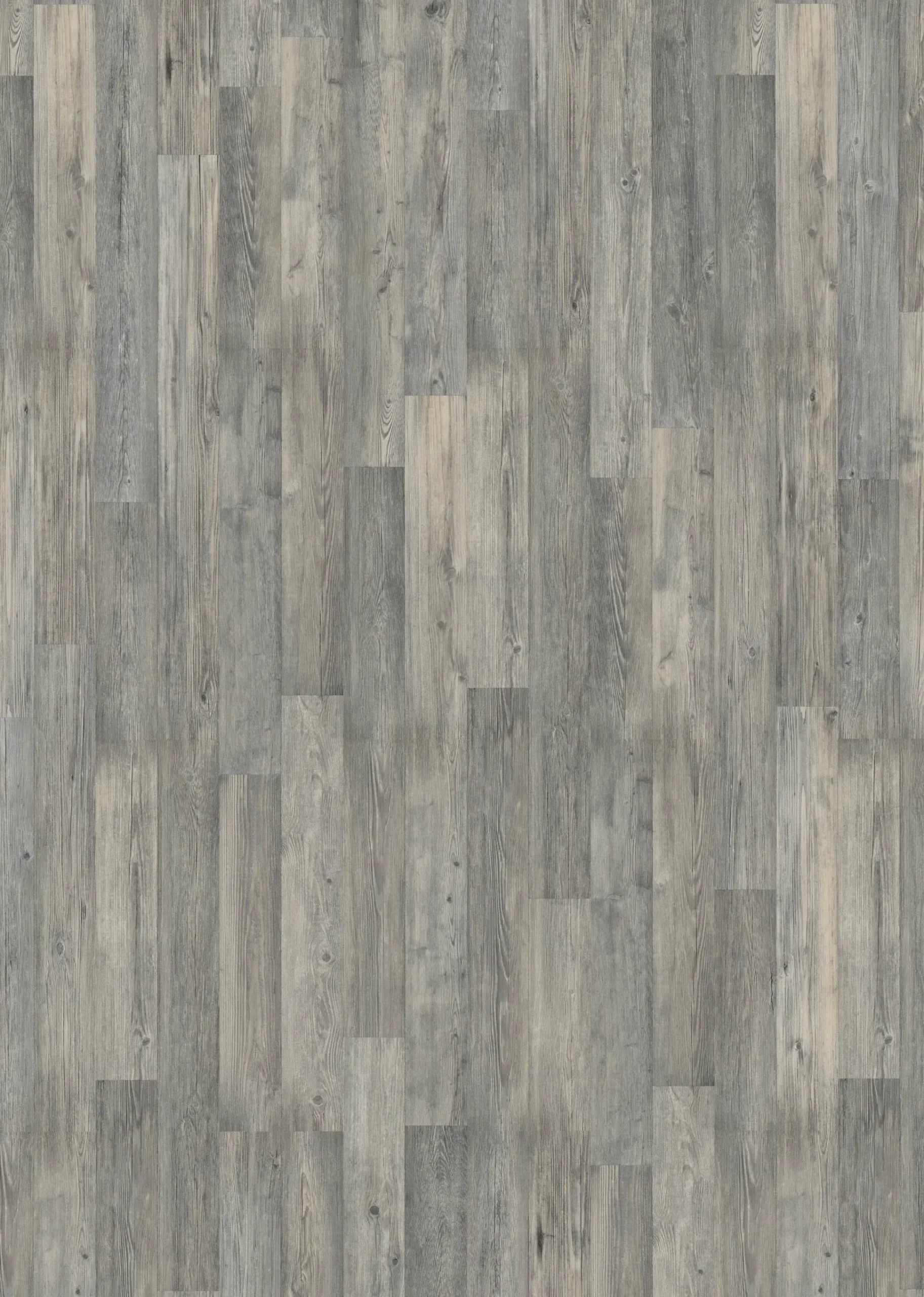 Classen Laminat Edition 7 128,6 x 19,4 cm 7 mm Seekiefer grau 2-Stab