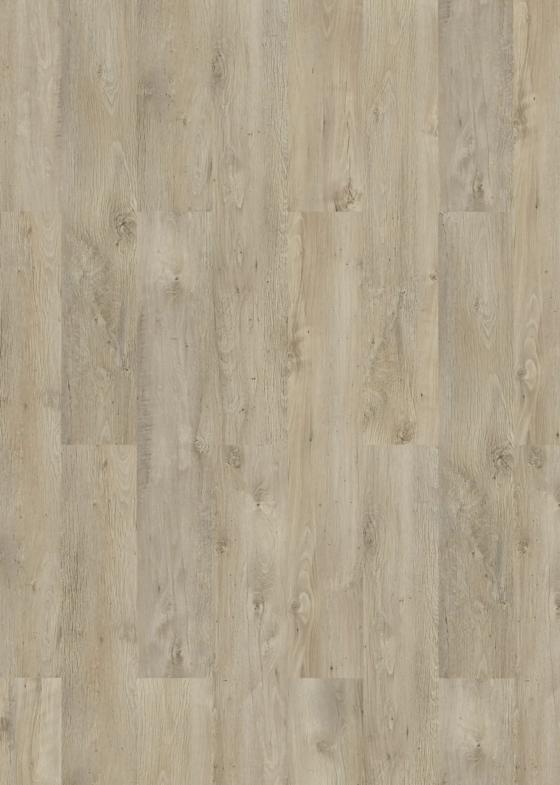 Classen Laminat Edition 7 128,6 x 19,4 cm 7 mm Helmond Eiche