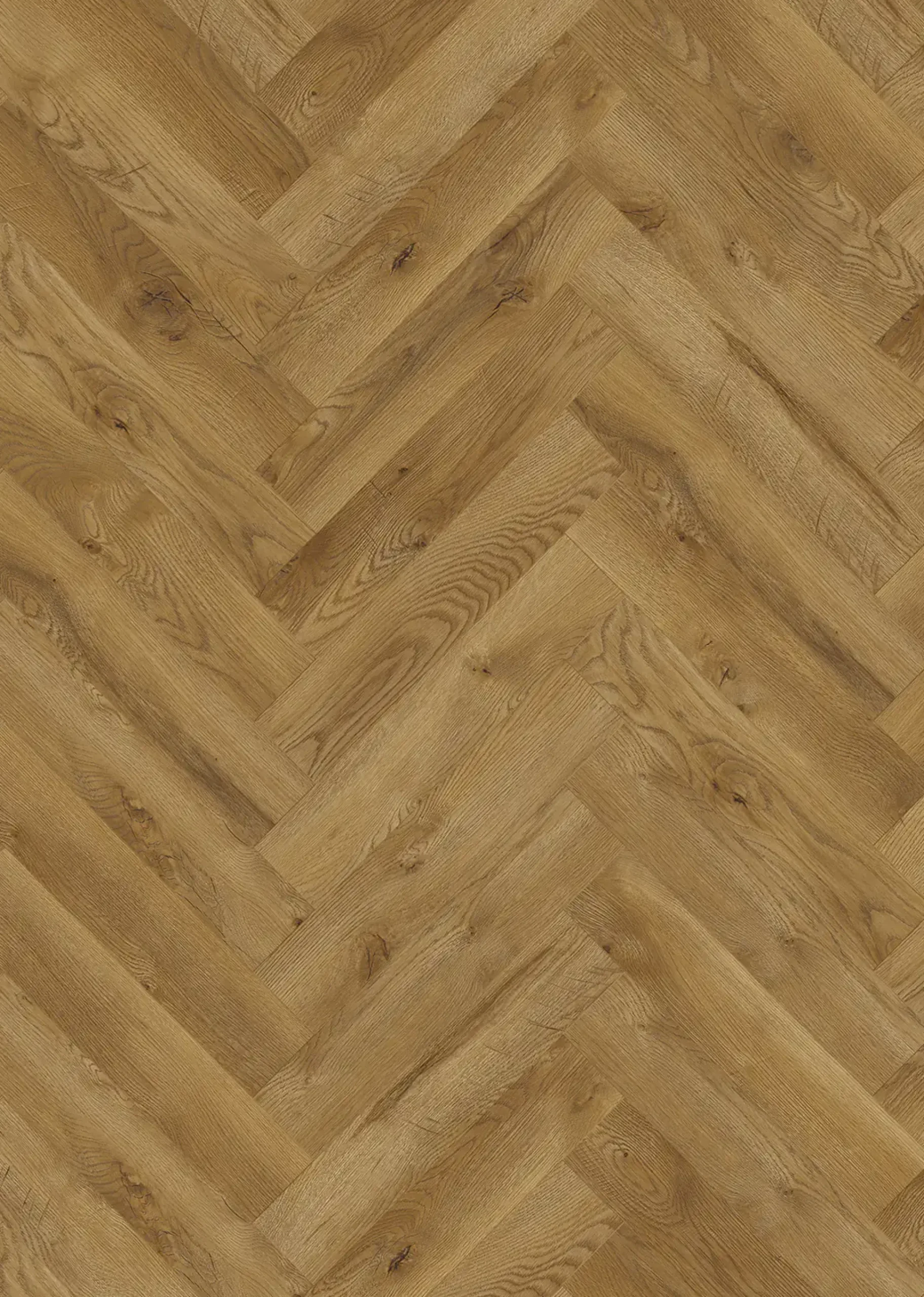 Classen Laminat Fischgrät Ville Benicarlo Oak