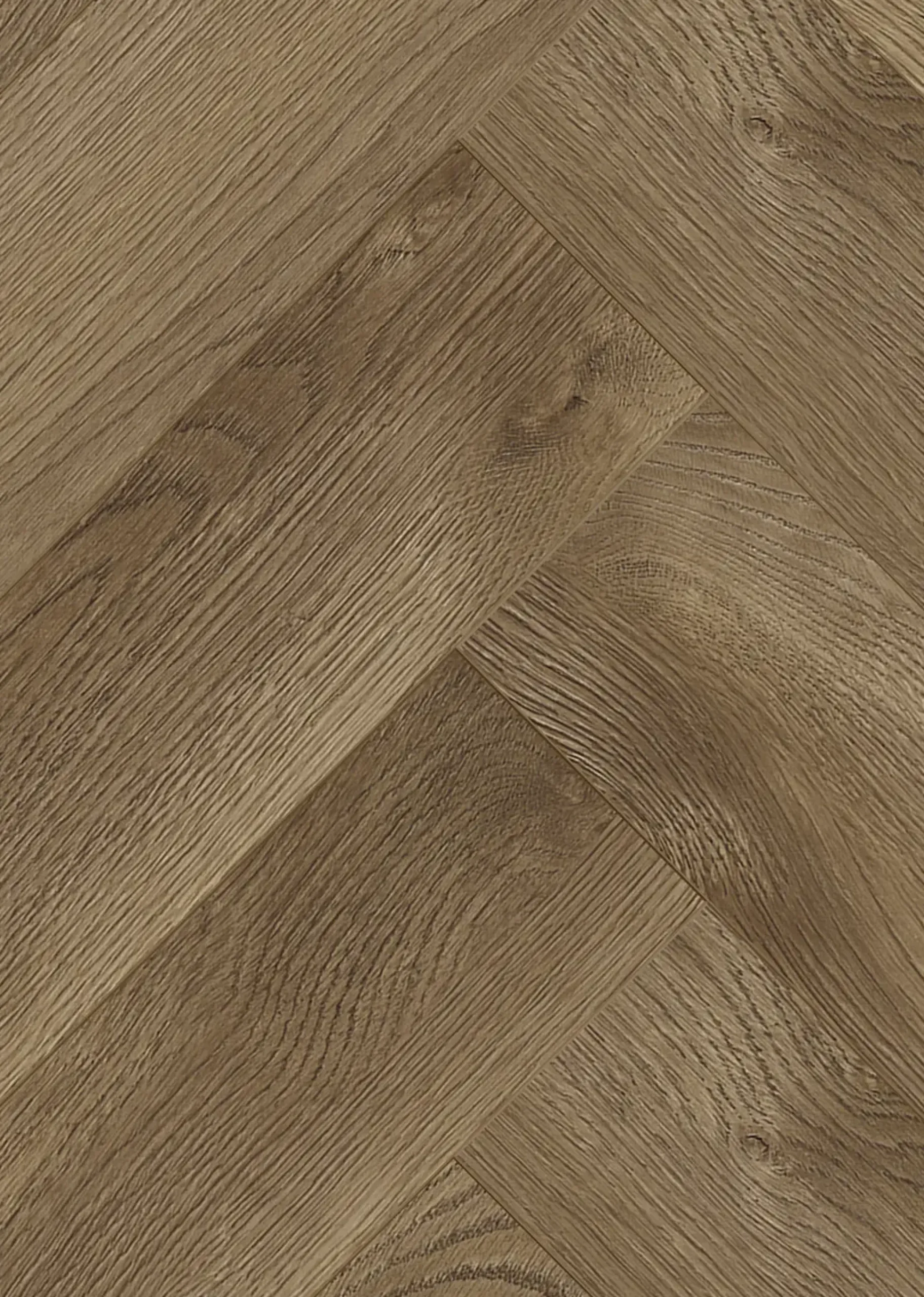 Classen Laminat Fischgrät Ville Burriana Oak